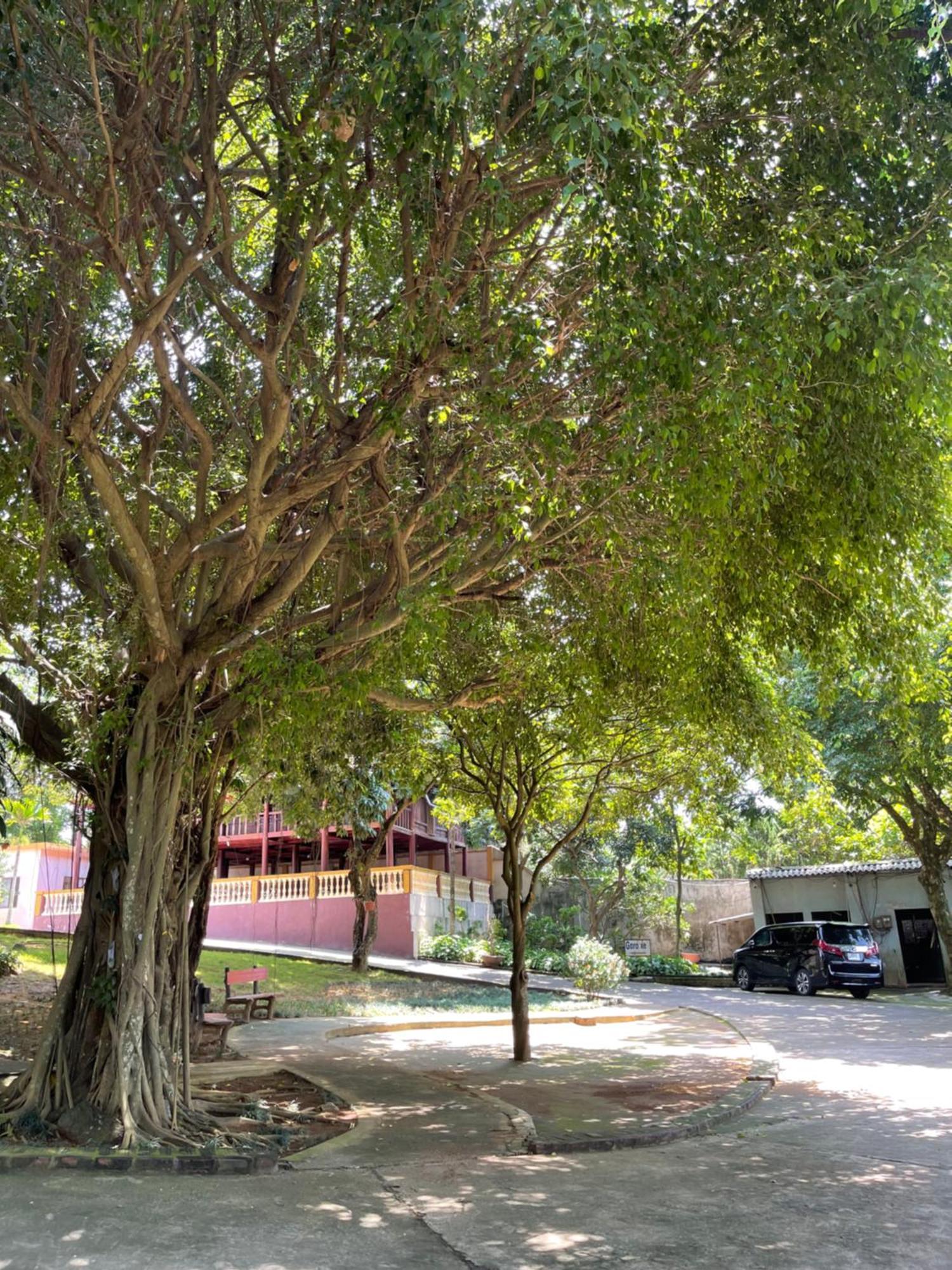 Thien Binh Hotel Hòa Bình Dış mekan fotoğraf